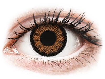 ColourVUE BigEyes Sexy Brown - z dioptrijo (2 leči) - Barvne kontaktne leče