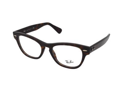 Ray-Ban Laramie RX2201V 2012 