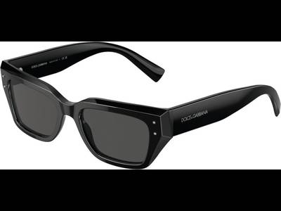 Dolce & Gabbana DG4462 501/87 